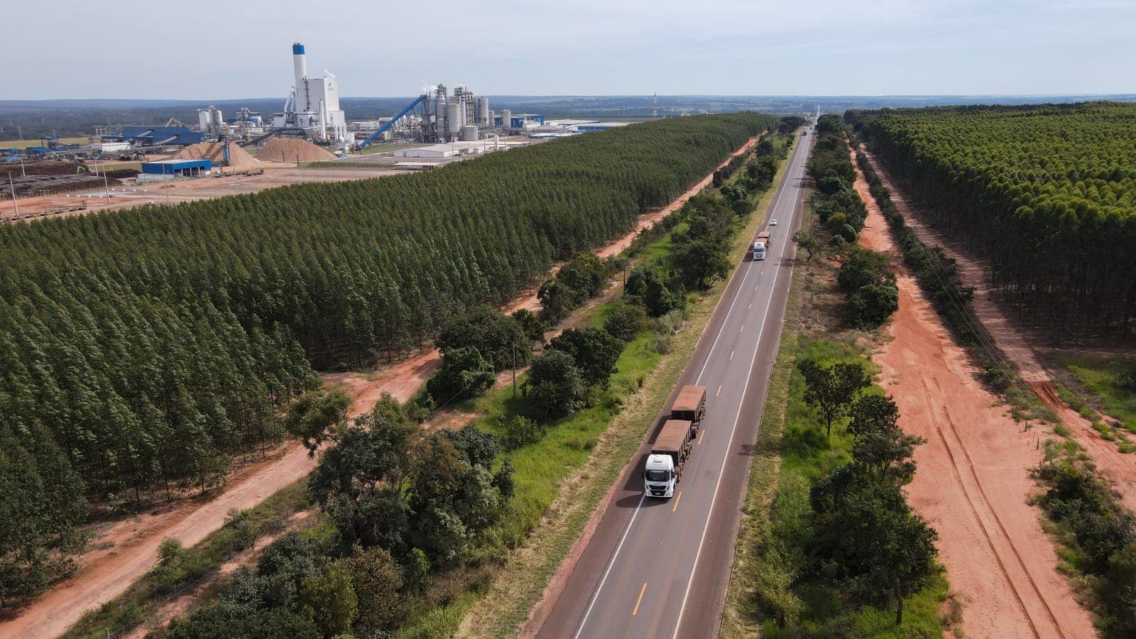 Rodovia Caminhos da Celulose