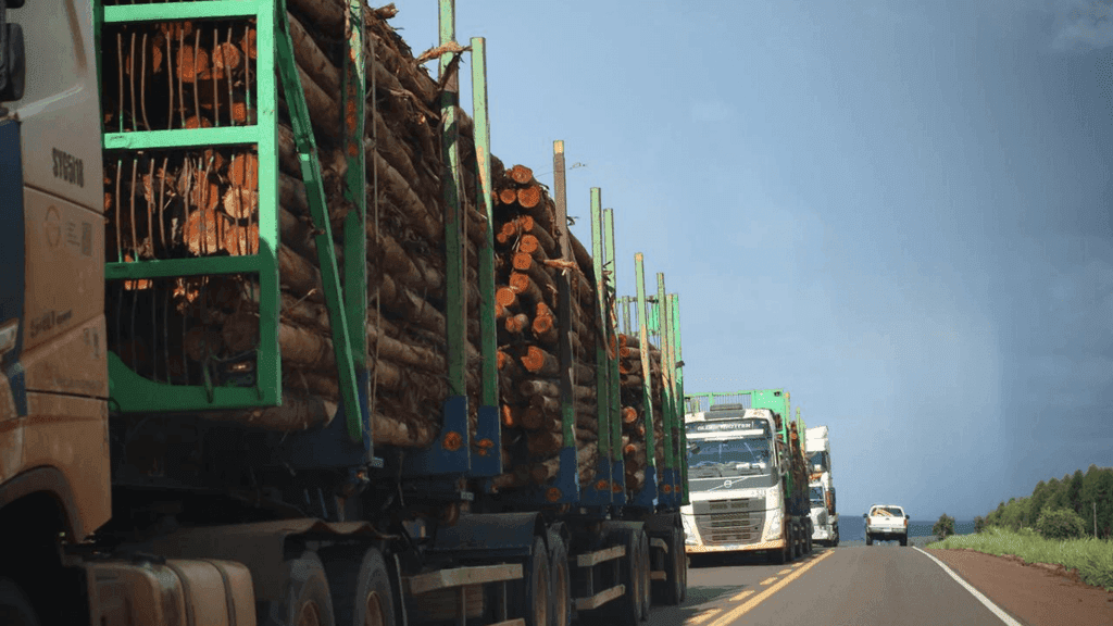 Caminhões e veículos trafegando na rodovia Caminhos da Celulose